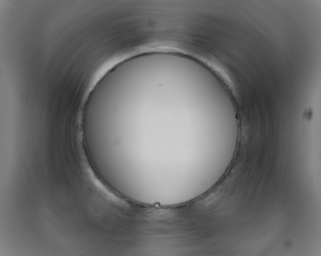 X0000093121382200709261004