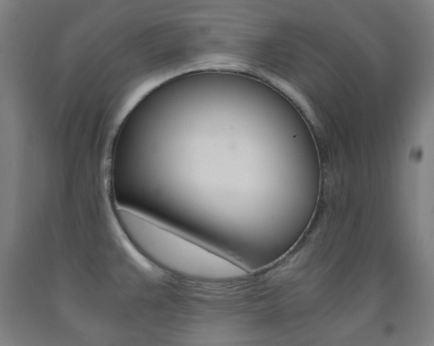 X0000093121383200709261004