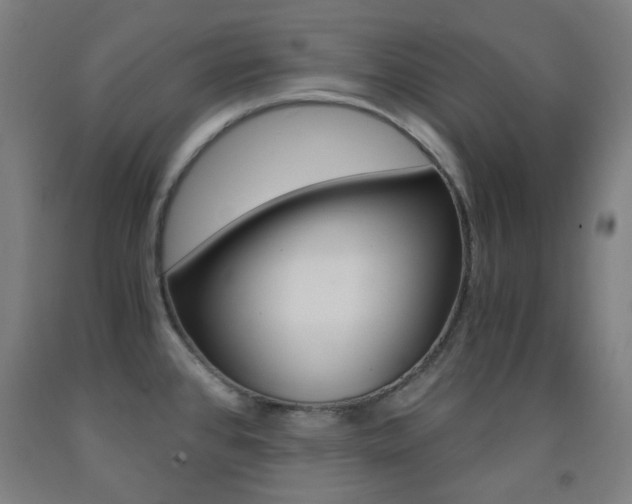 X0000093121384200709261004