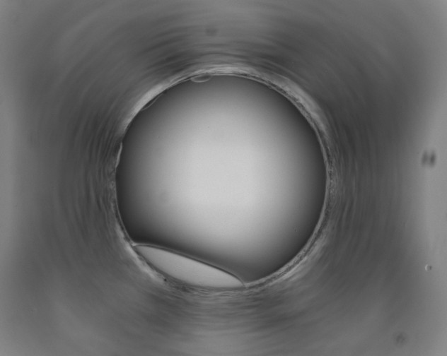 X0000093121385200709261004