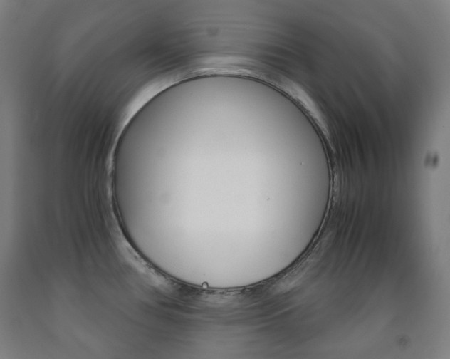 X0000093121386200709261004