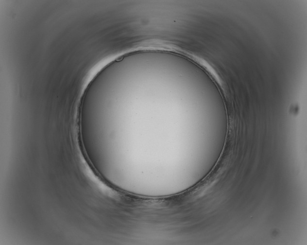X0000093121387200709261004