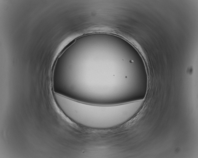 X0000093121389200709261004