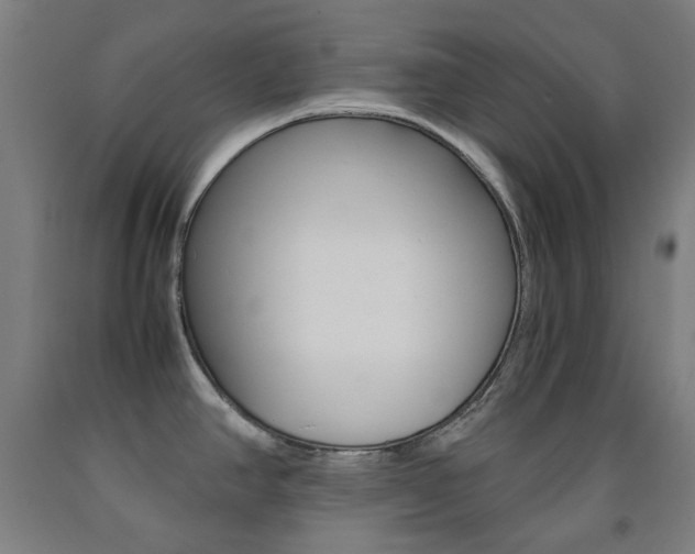 X0000093121390200709261004