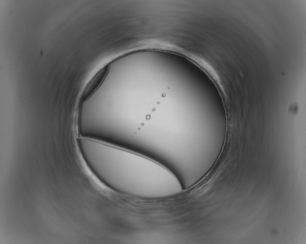 X0000093121391200709261004