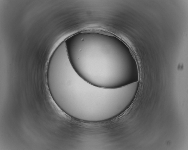 X0000093121392200709261004