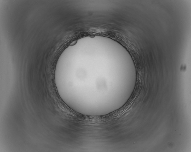 X0000093121393200709261003