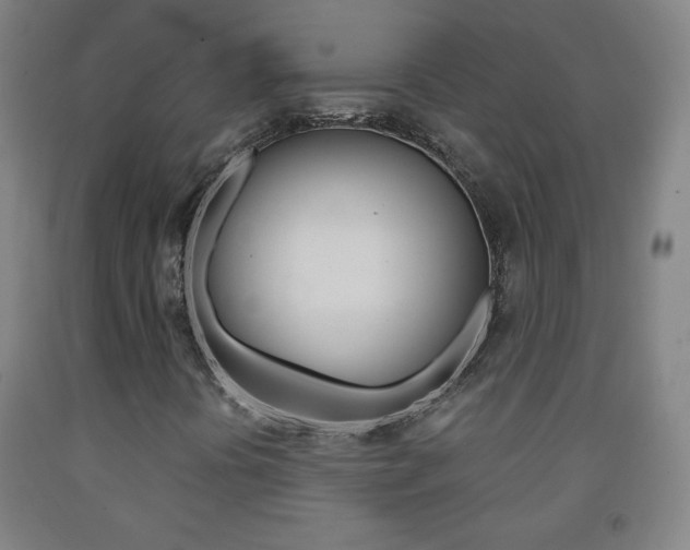 X0000093121394200709261003