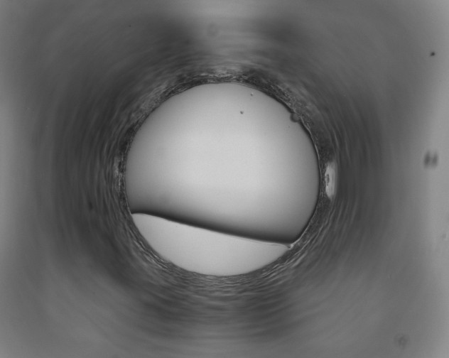 X0000093121395200709261003