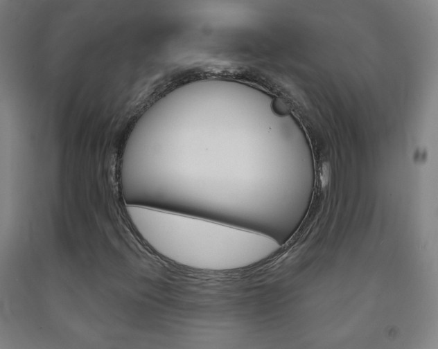 X0000093121396200709261004