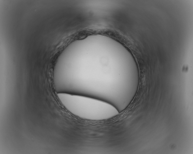 X0000093121397200709261004