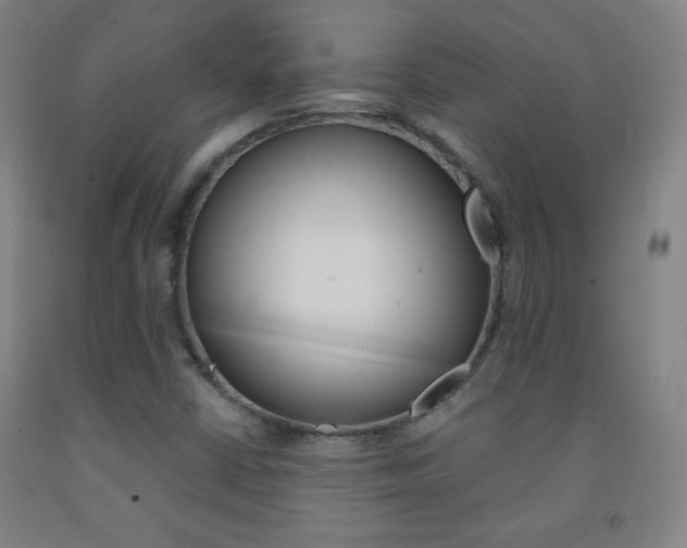 X0000093121402200709261004