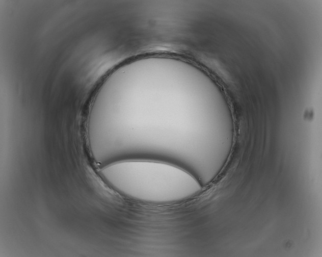 X0000093121404200709261004