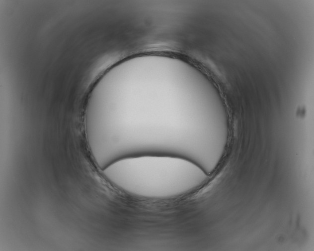 X0000093121405200709261004