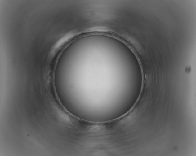 X0000093121406200709261004
