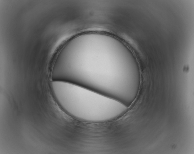 X0000093121408200709261004