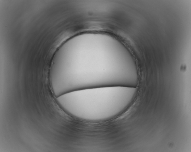 X0000093121409200709261004