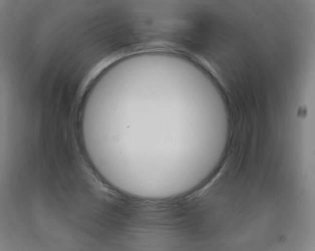 X0000093121410200709261004