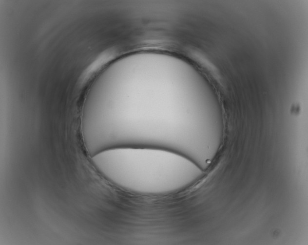 X0000093121411200709261004