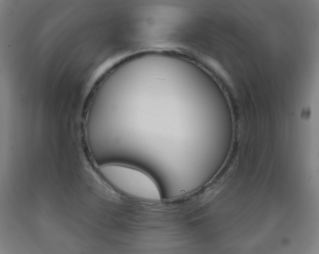 X0000093121412200709261004