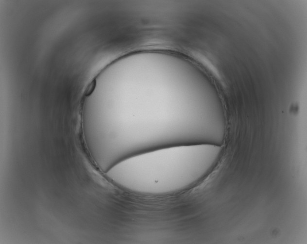 X0000093121413200709261004