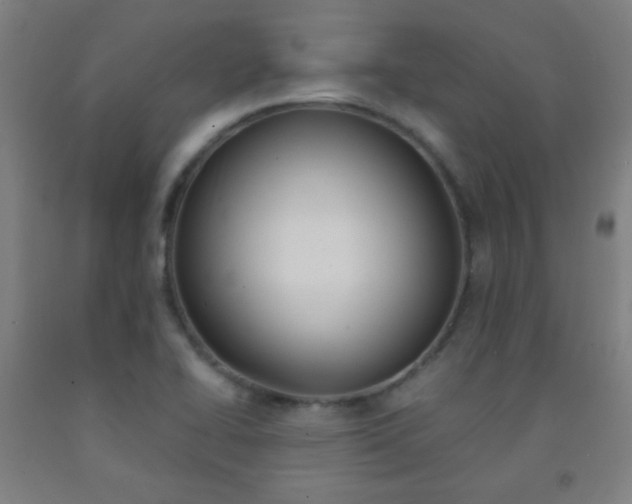 X0000093121414200709261004