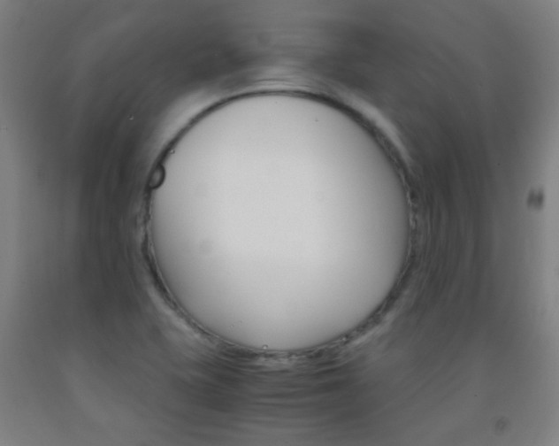 X0000093121415200709261004