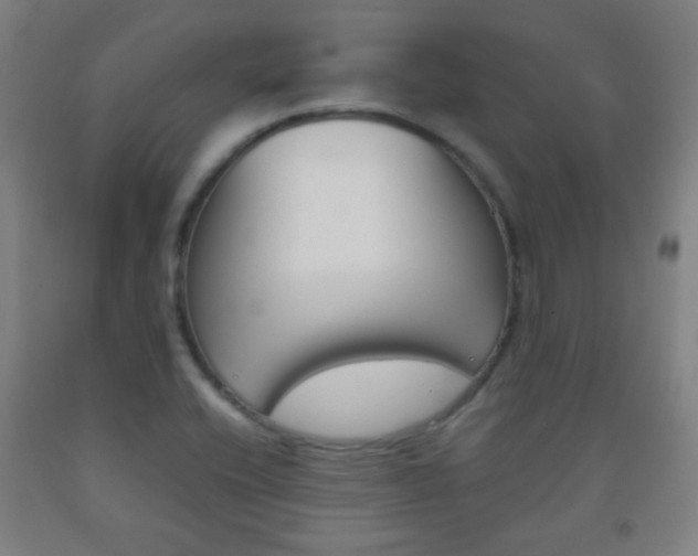 X0000093121416200709261004