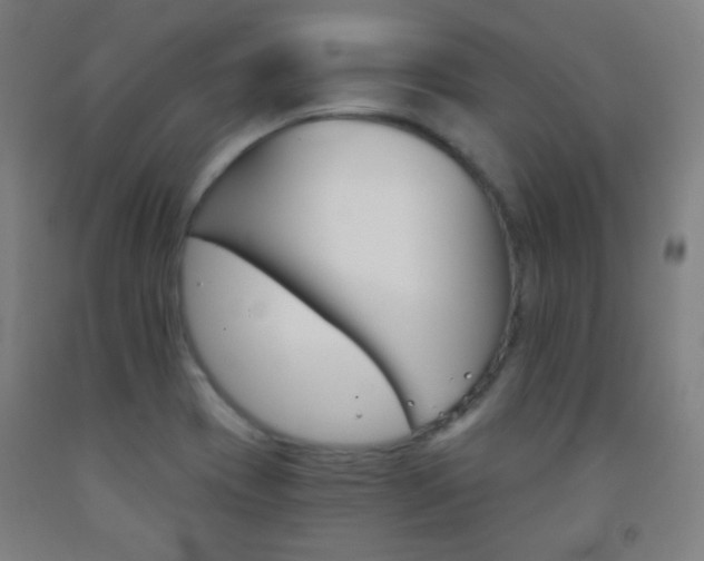 X0000093121417200709261004