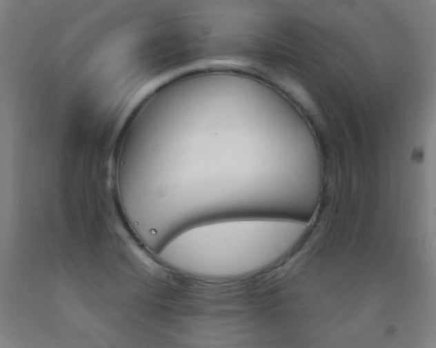 X0000093121420200709261004