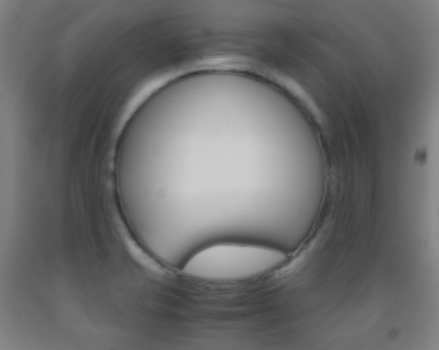 X0000093121421200709261004