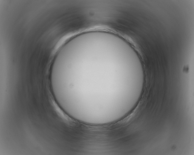 X0000093121422200709261004