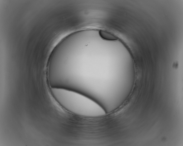 X0000093121423200709261004