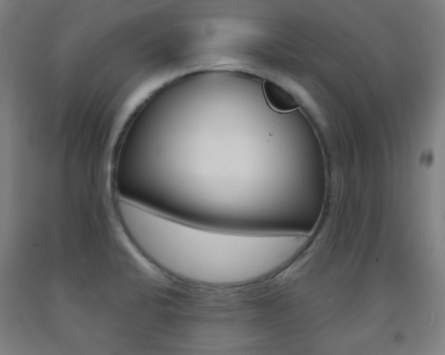 X0000093121424200709261004