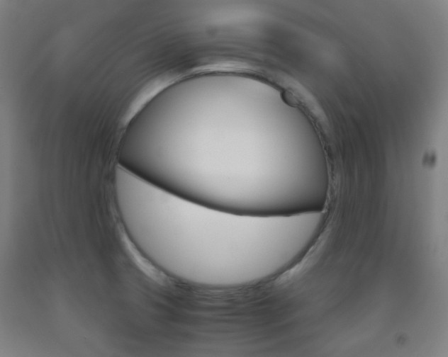 X0000093121425200709261004