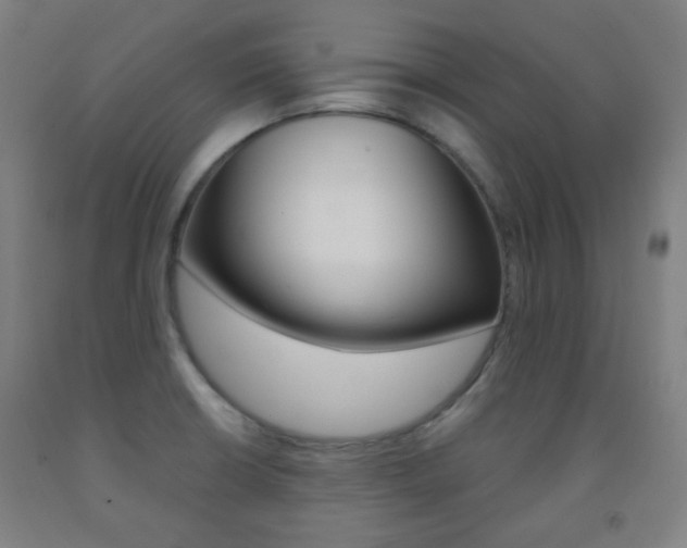 X0000093121426200709261004