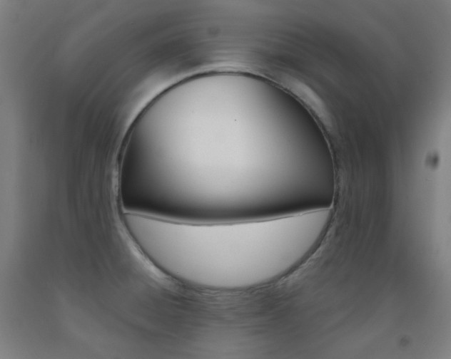 X0000093121428200709261004