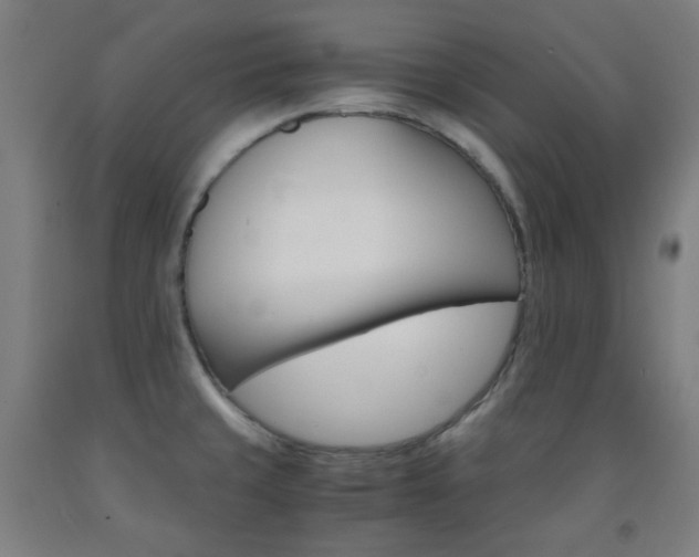 X0000093121429200709261004