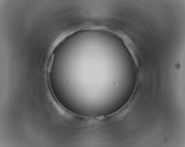 X0000093121430200709261004
