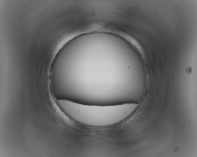 X0000093121431200709261004