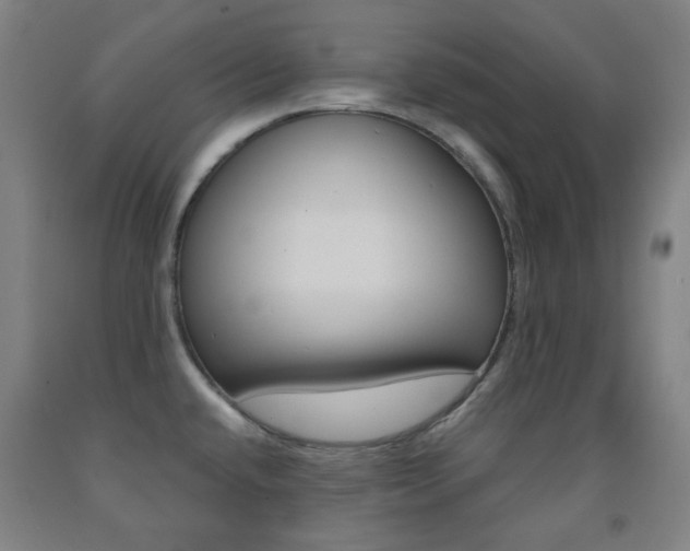 X0000093121432200709261004