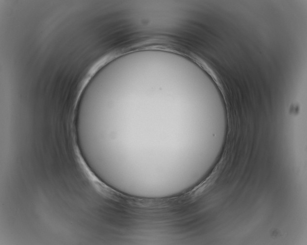 X0000093121434200709261004