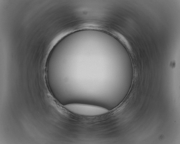 X0000093121435200709261004