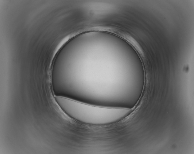 X0000093121436200709261004