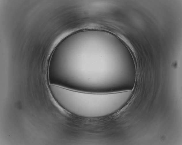 X0000093121437200709261004