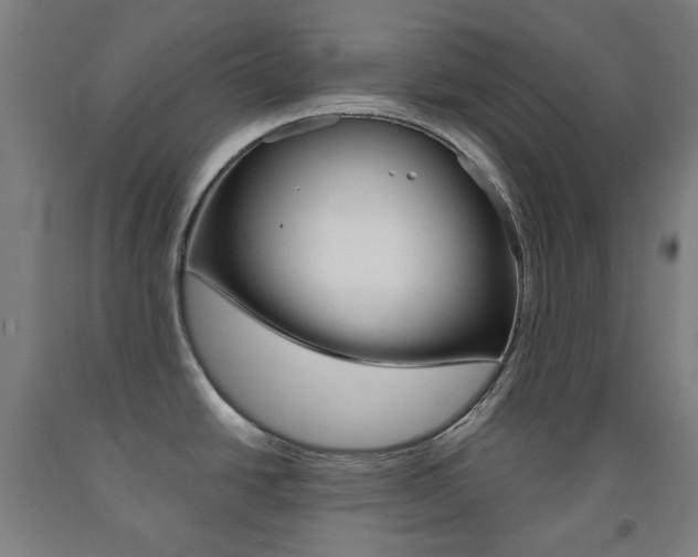 X0000093121438200709261004