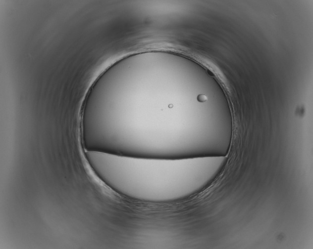 X0000093121439200709261004