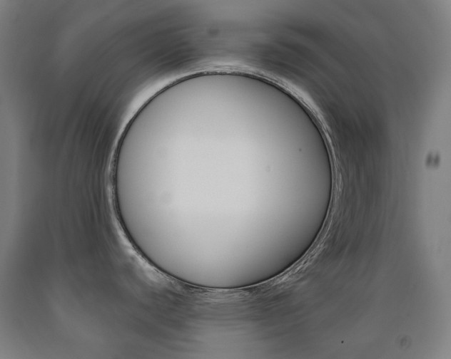 X0000093121440200709261004