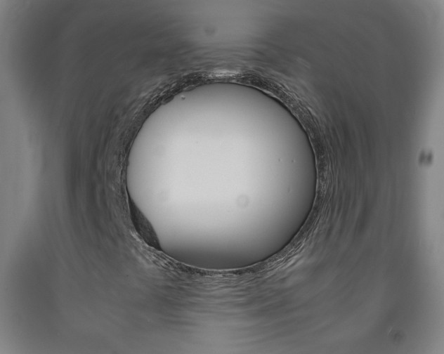 X0000093121441200709261003