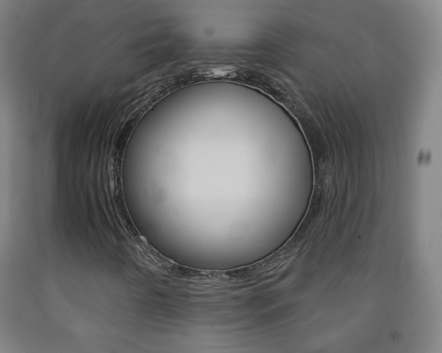 X0000093121442200709261003